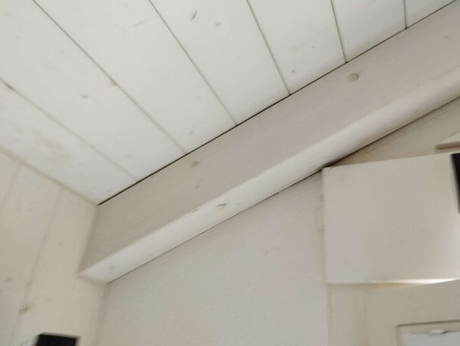 ameisen_vertreiben_bekaempfen_entfernen