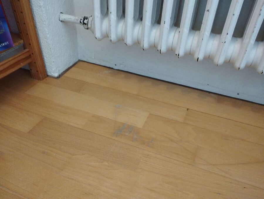 ameisen_vertreiben_bekaempfen_entfernen