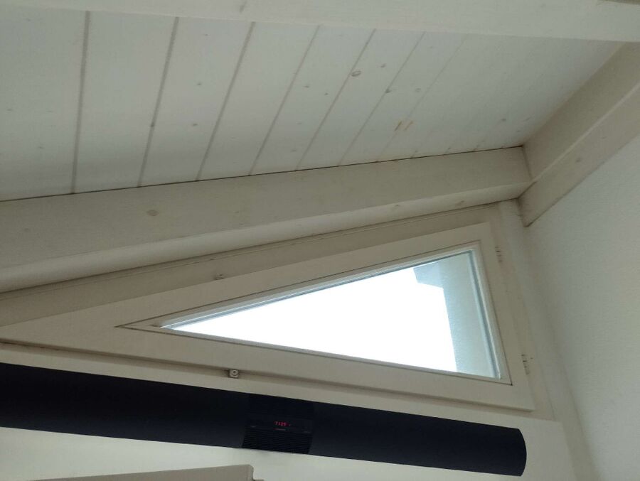 ameisen_vertreiben_bekaempfen_entfernen