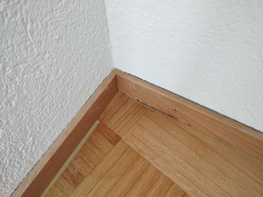 ameisen_vertreiben_bekaempfen_entfernen