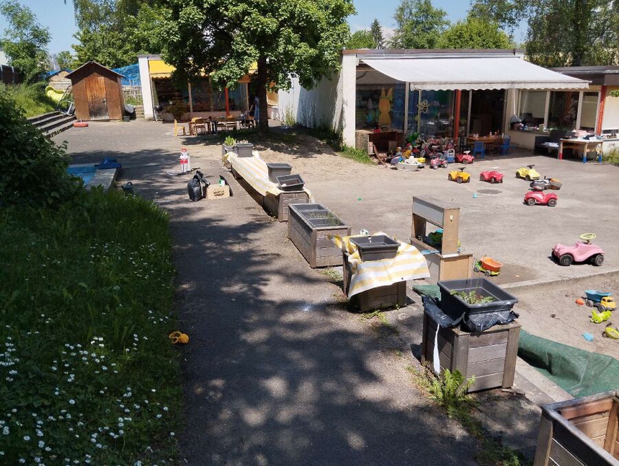 ameisen_vertreiben_bekaempfen_entfernen