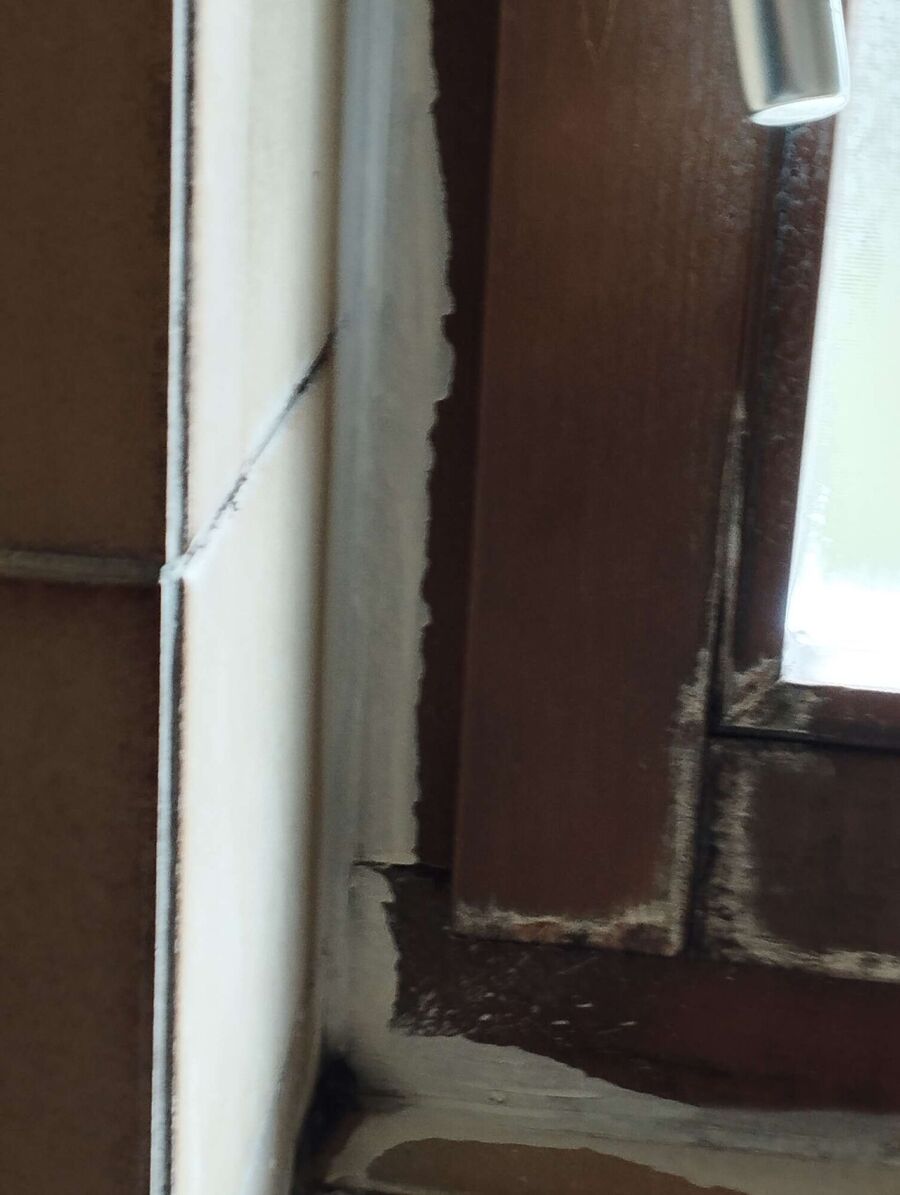 ameisen_vertreiben_bekaempfen_entfernen