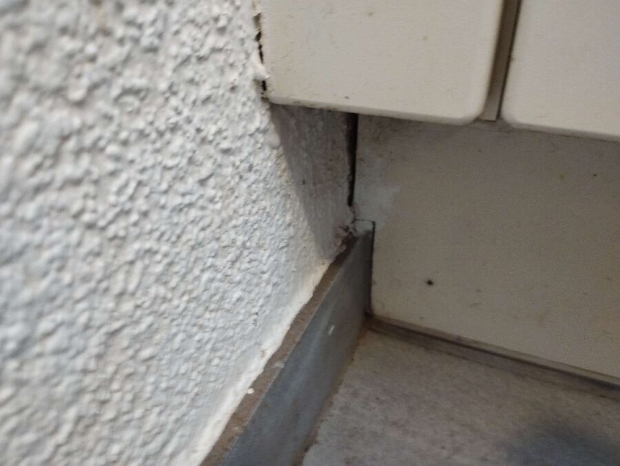 ameisen_vertreiben_bekaempfen_entfernen