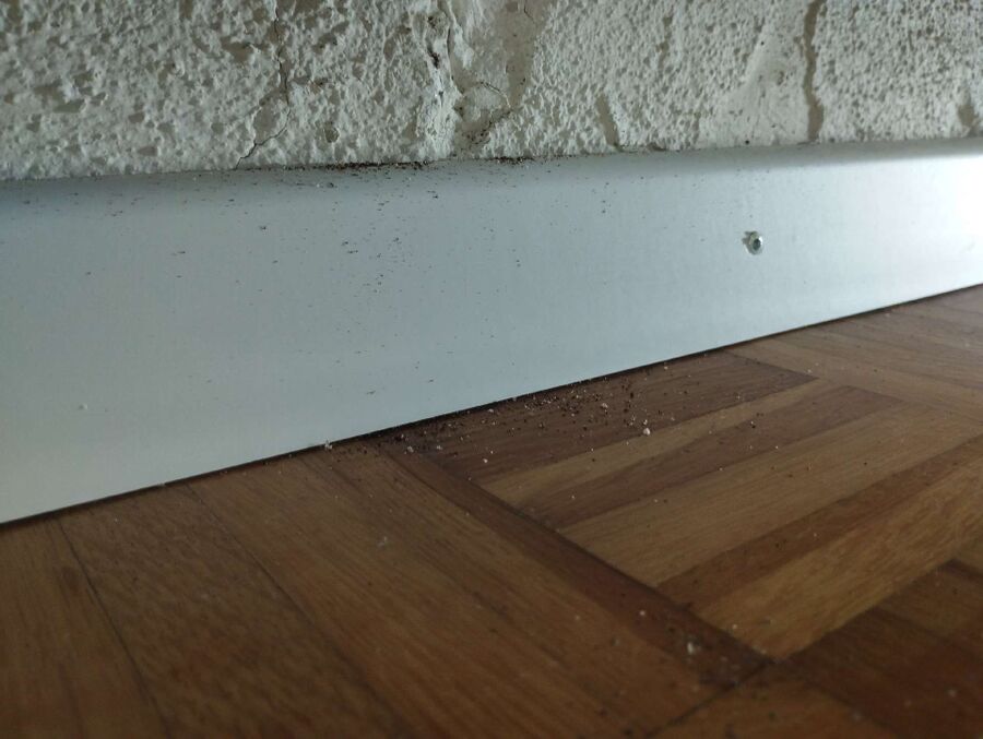 ameisen_vertreiben_bekaempfen_entfernen