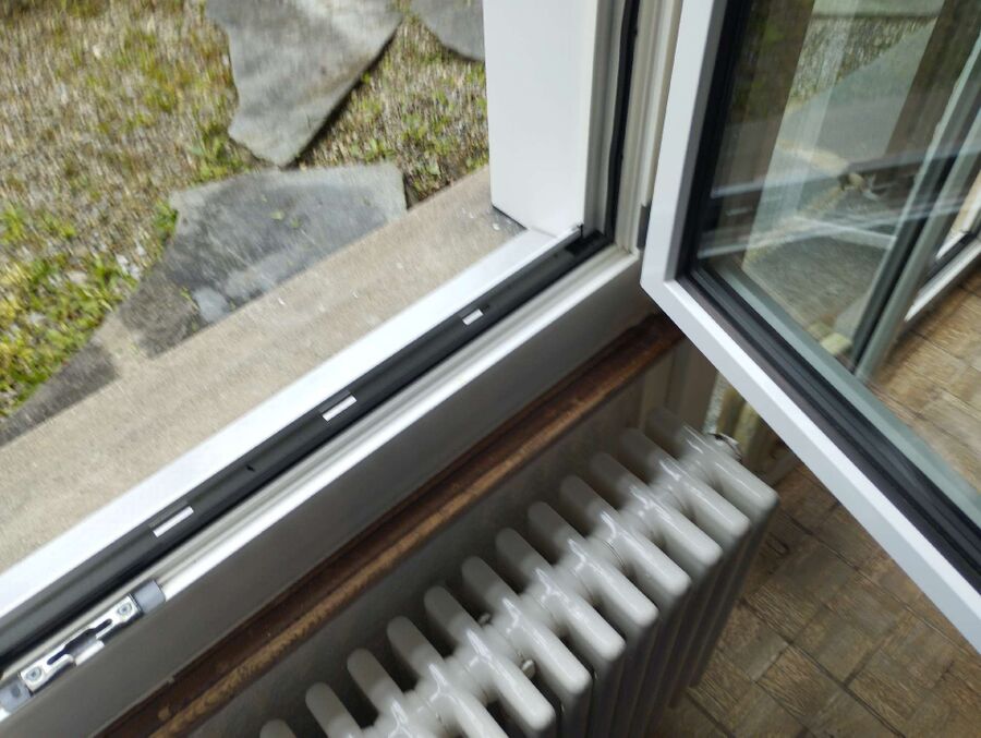 ameisen_vertreiben_bekaempfen_entfernen