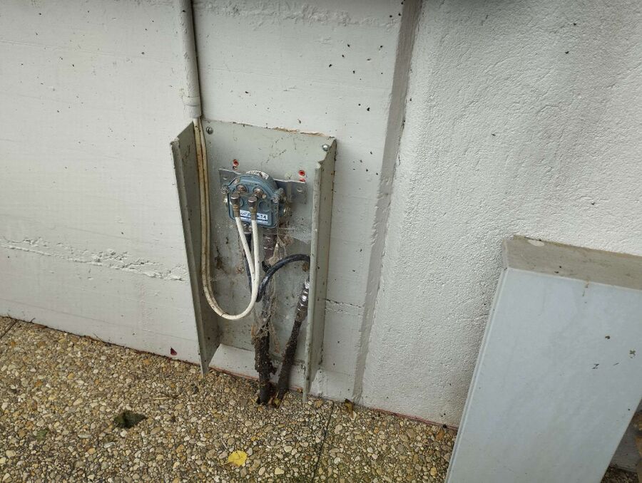 ameisen_vertreiben_bekaempfen_entfernen