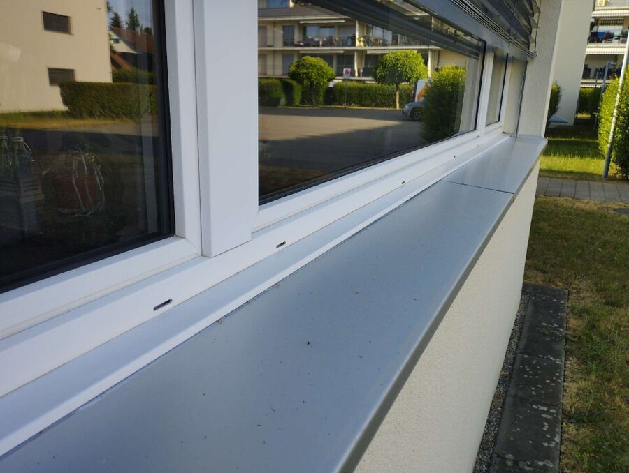 ameisen_vertreiben_bekaempfen_entfernen