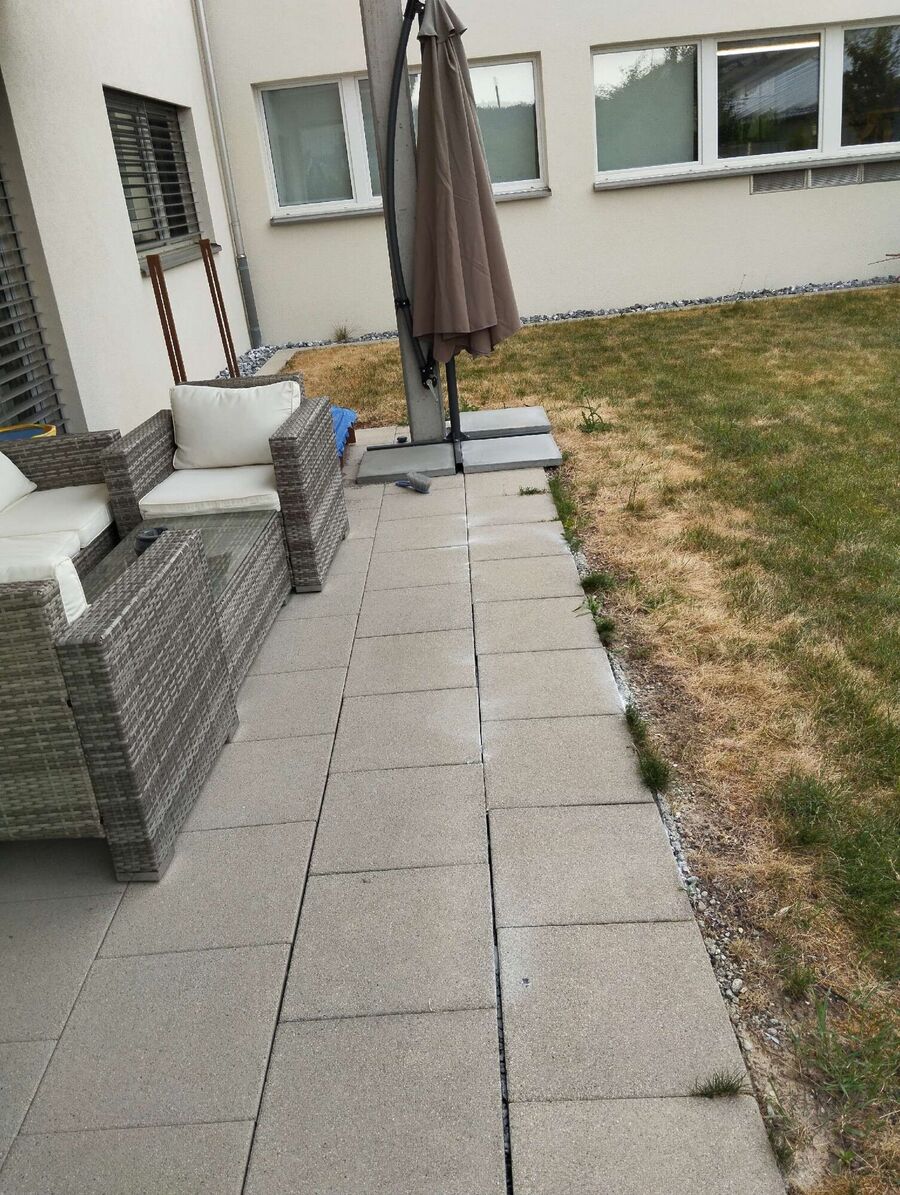 ameisen_vertreiben_bekaempfen_entfernen