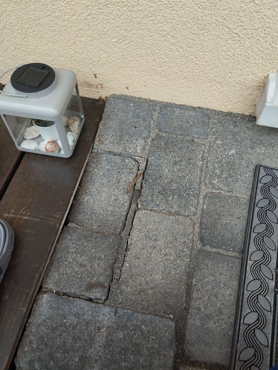 ameisen_vertreiben_bekaempfen_entfernen