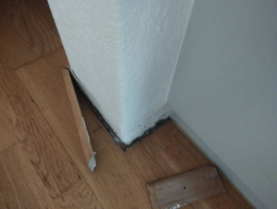 ameisen_vertreiben_bekaempfen_entfernen