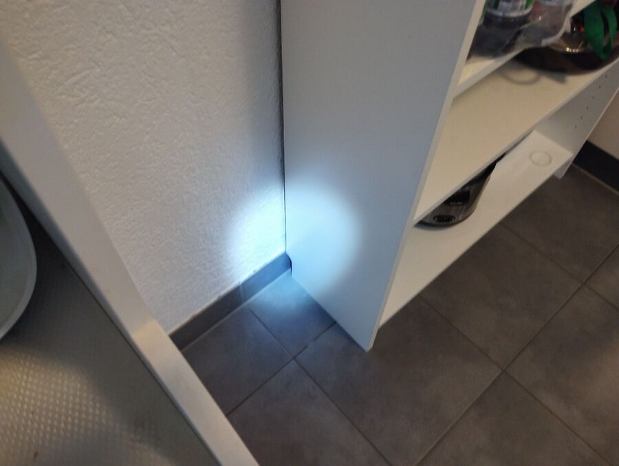 ameisen_vertreiben_bekaempfen_entfernen