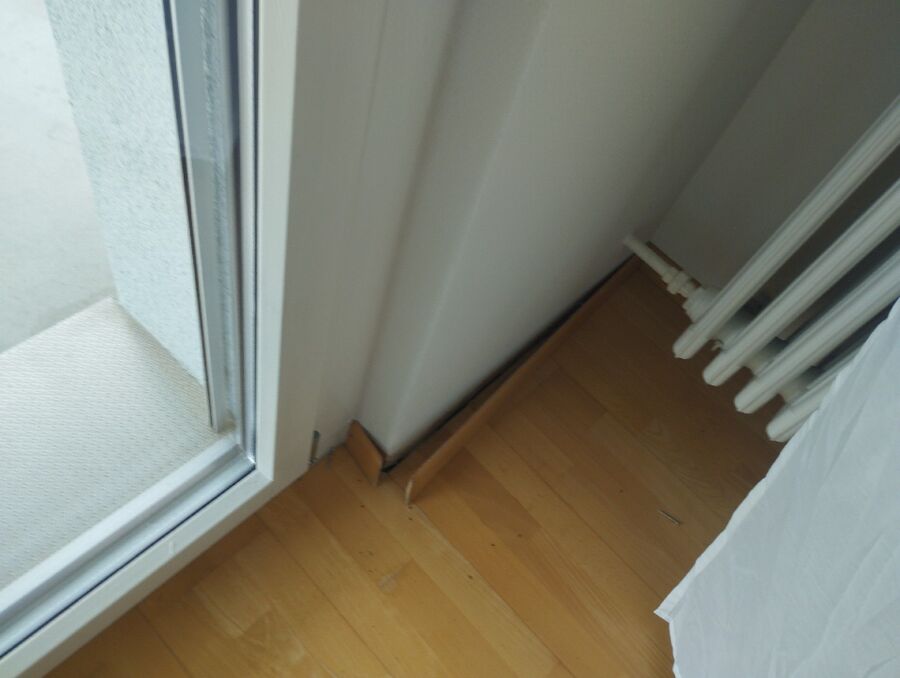 ameisen_vertreiben_bekaempfen_entfernen