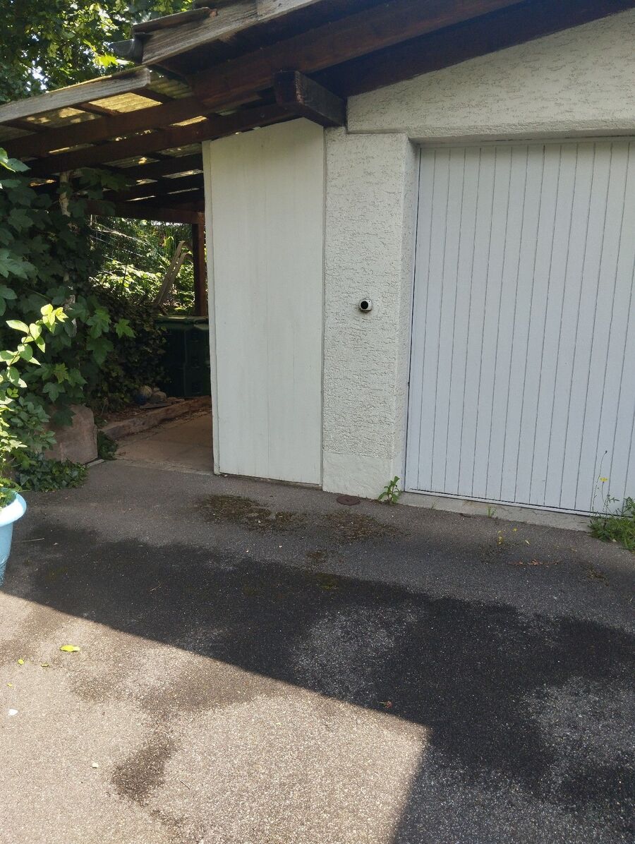 ameisen_vertreiben_bekaempfen_entfernen