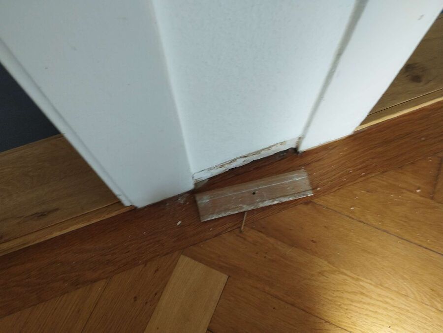 ameisen_vertreiben_bekaempfen_entfernen