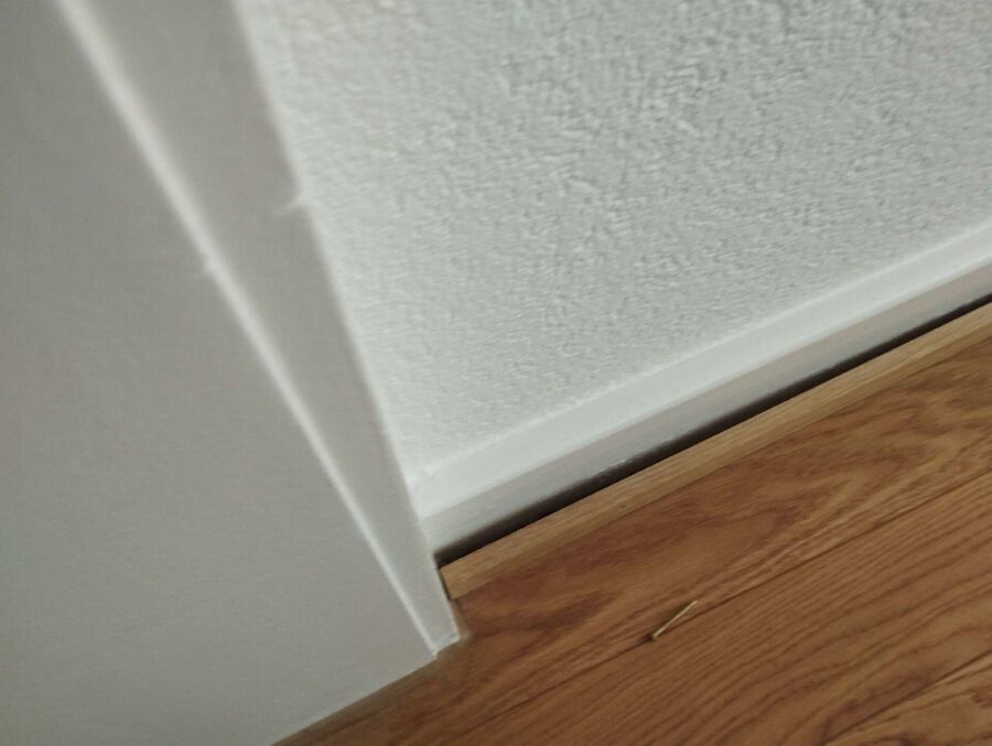 ameisen_vertreiben_bekaempfen_entfernen