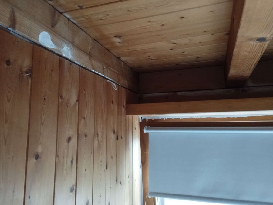 ameisen_vertreiben_bekaempfen_entfernen