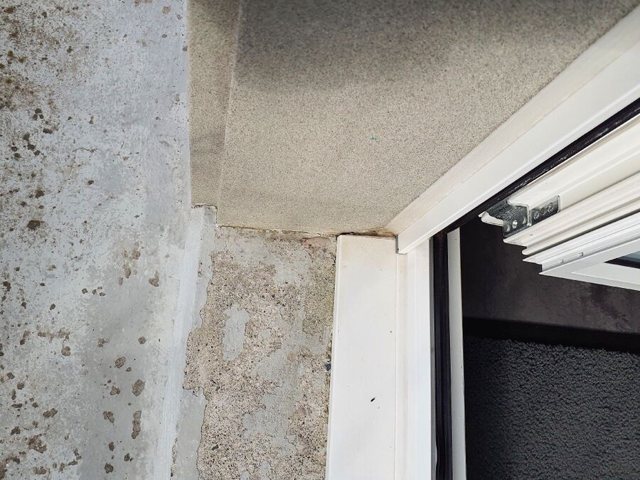 ameisen_vertreiben_bekaempfen_entfernen