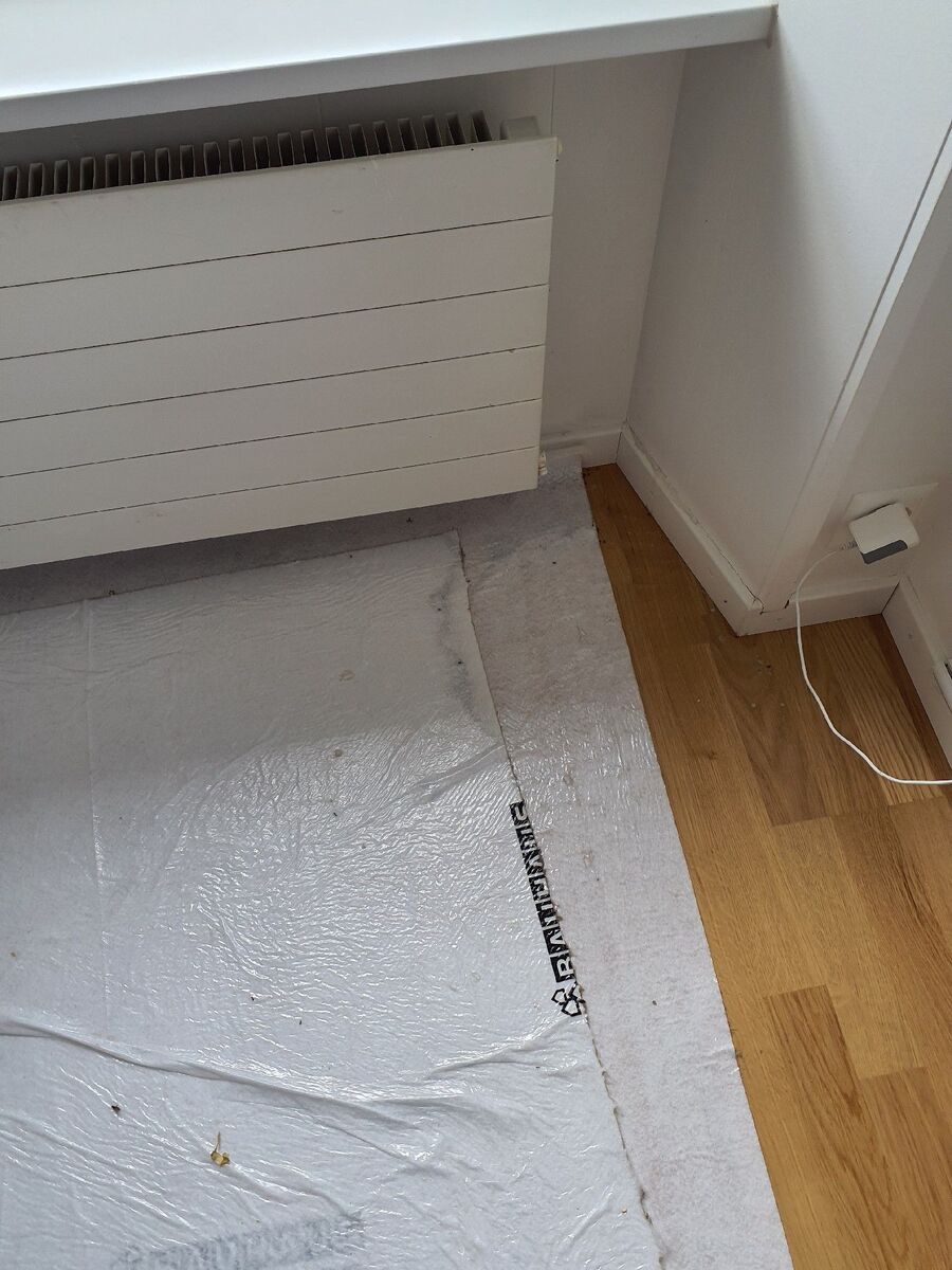 ameisen_vertreiben_bekaempfen_entfernen