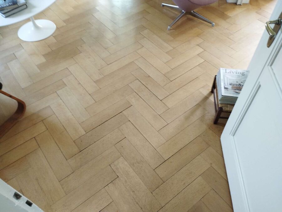 ameisen_vertreiben_bekaempfen_entfernen