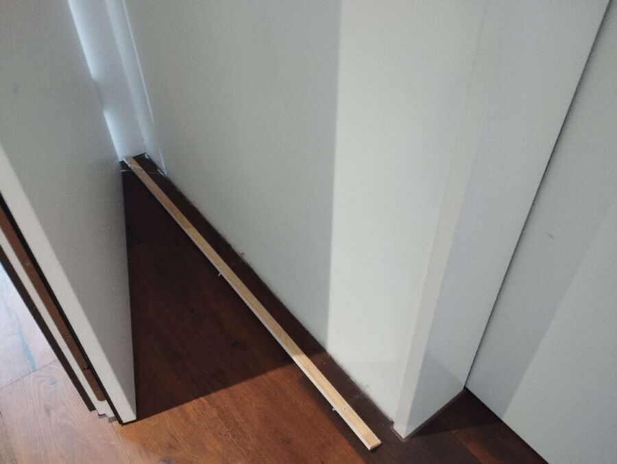 ameisen_vertreiben_bekaempfen_entfernen