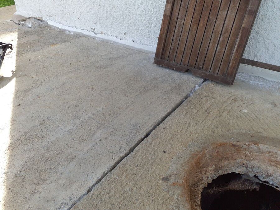 ameisen_vertreiben_bekaempfen_entfernen