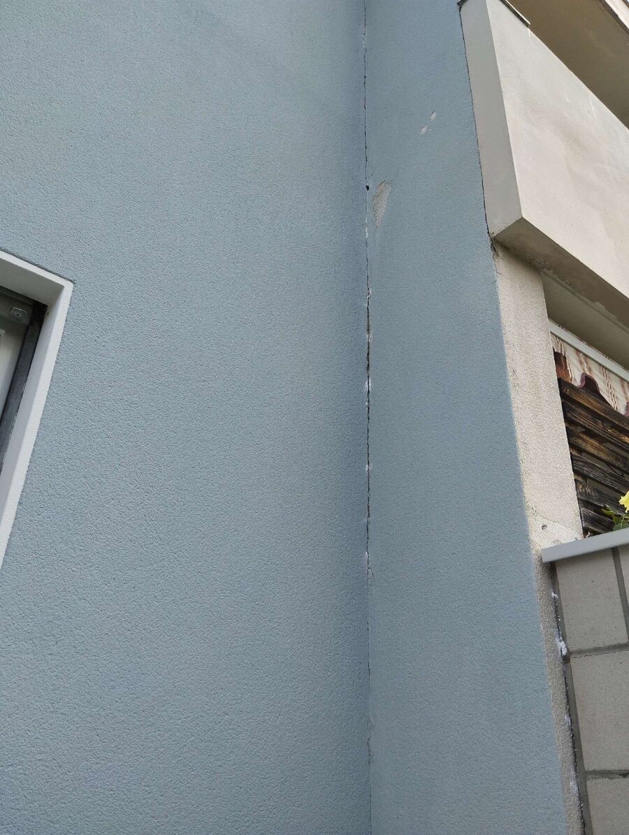 ameisen_vertreiben_bekaempfen_entfernen