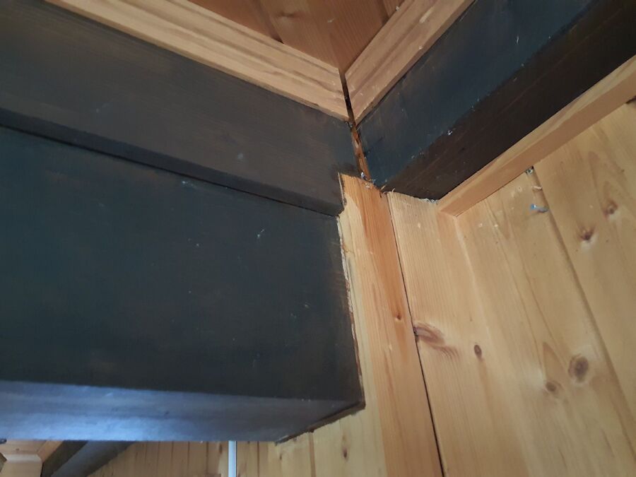 ameisen_vertreiben_bekaempfen_entfernen