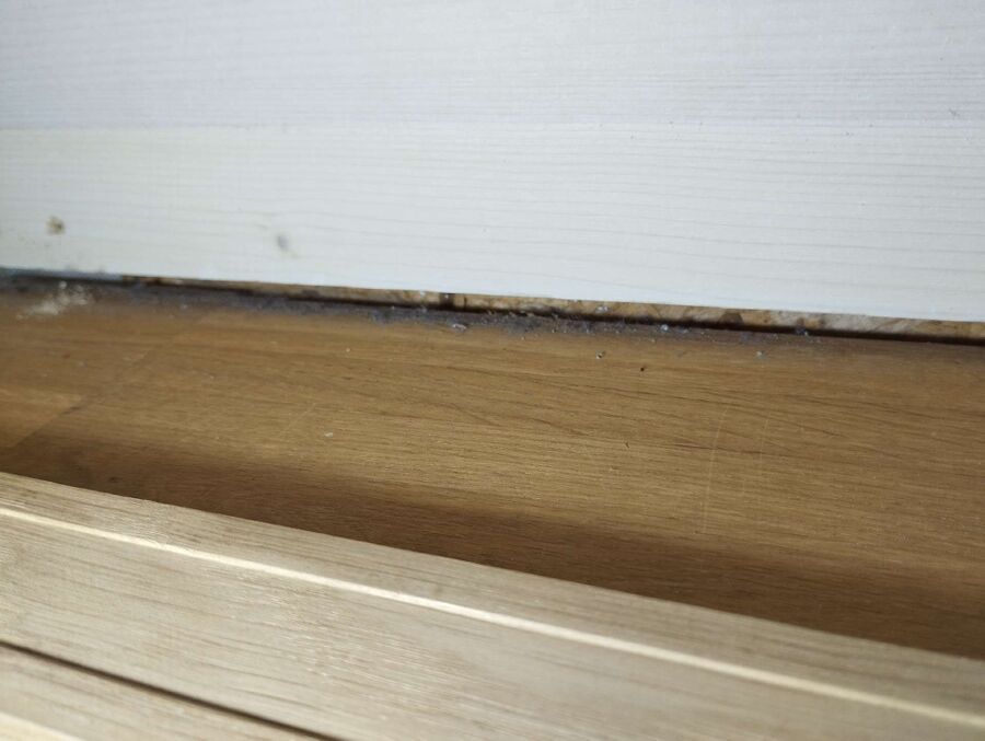 ameisen_vertreiben_bekaempfen_entfernen