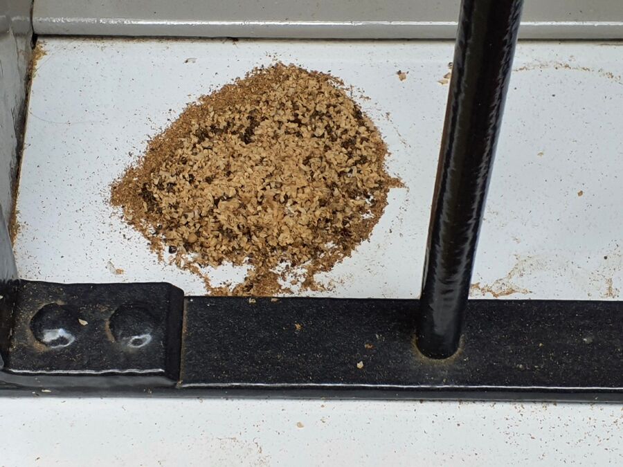 ameisen_vertreiben_bekaempfen_entfernen