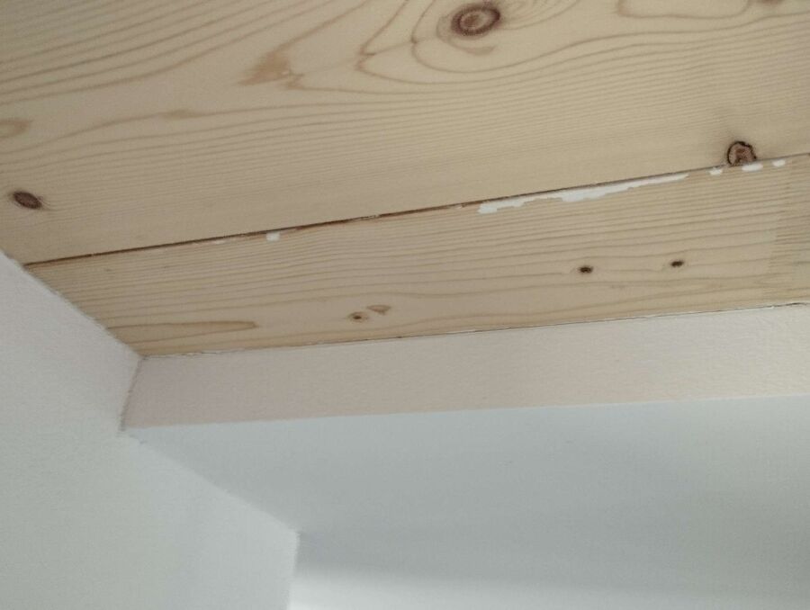 ameisen_vertreiben_bekaempfen_entfernen