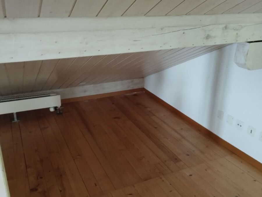 ameisen_vertreiben_bekaempfen_entfernen