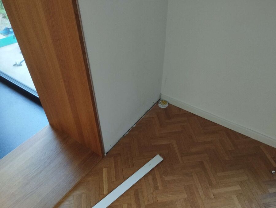 ameisen_vertreiben_bekaempfen_entfernen