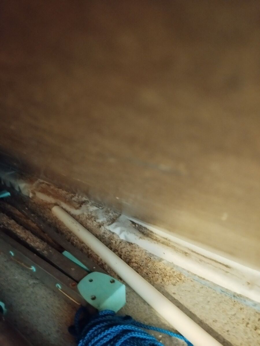 ameisen_vertreiben_bekaempfen_entfernen