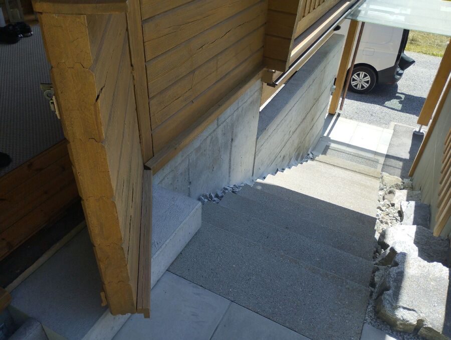 ameisen_vertreiben_bekaempfen_entfernen