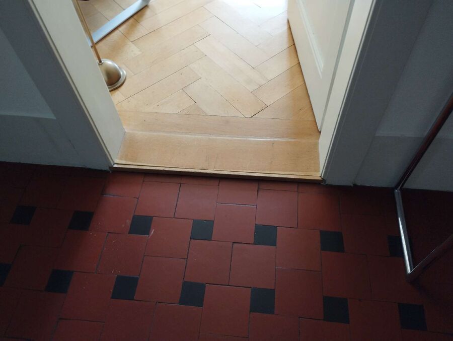 ameisen_vertreiben_bekaempfen_entfernen