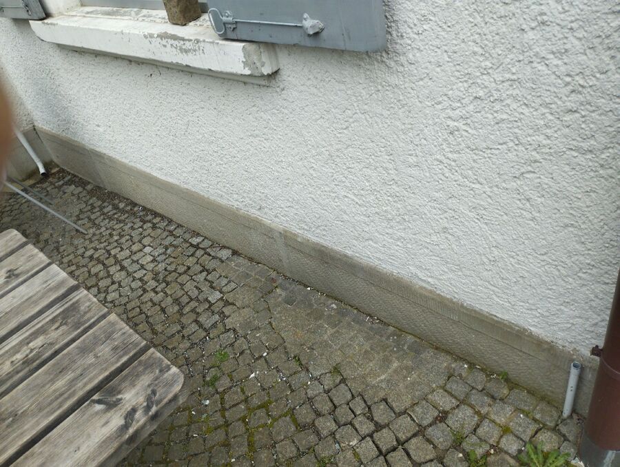 ameisen_vertreiben_bekaempfen_entfernen