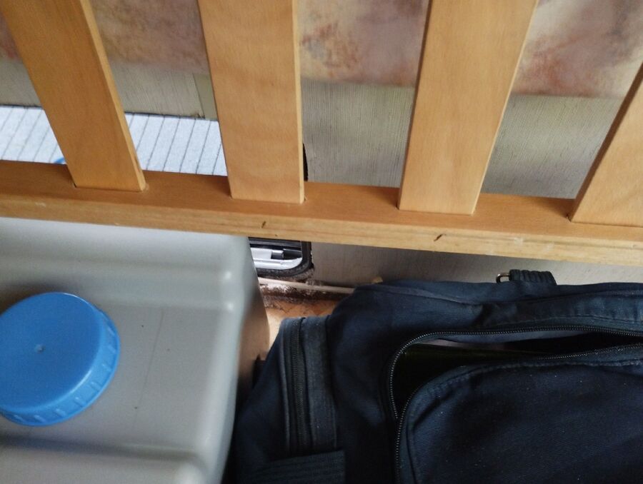 ameisen_vertreiben_bekaempfen_entfernen