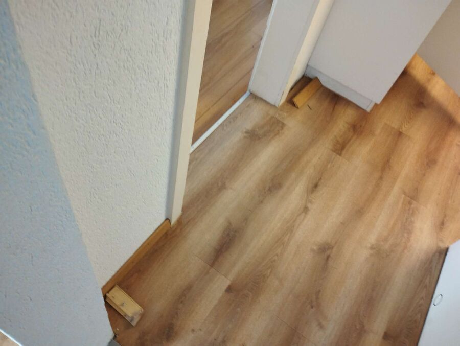 ameisen_vertreiben_bekaempfen_entfernen