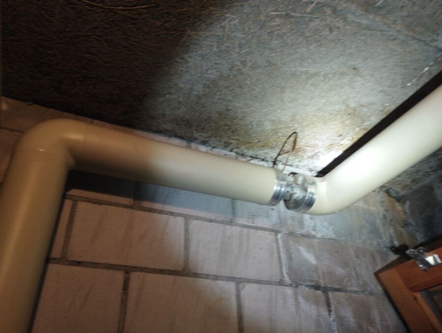 ameisen_vertreiben_bekaempfen_entfernen