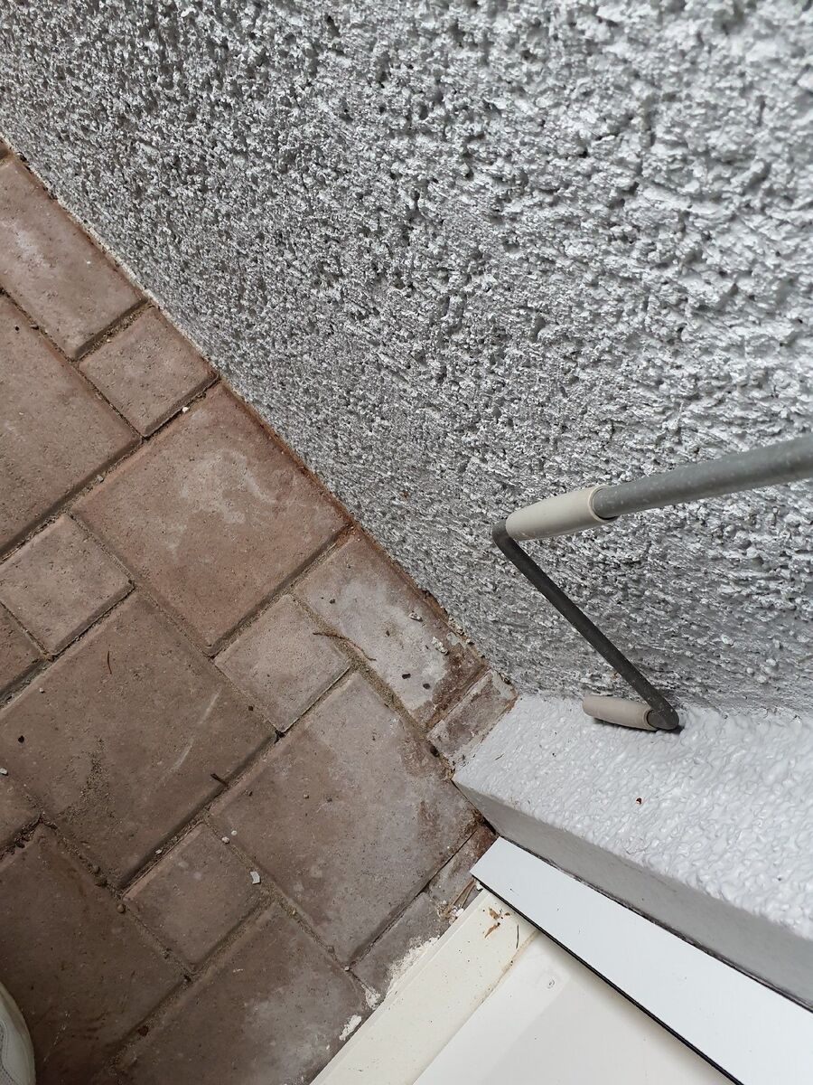 ameisen_vertreiben_bekaempfen_entfernen