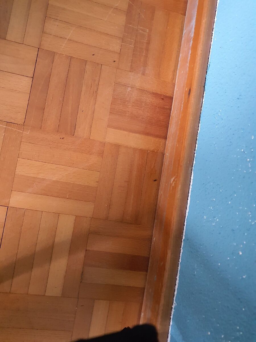 ameisen_vertreiben_bekaempfen_entfernen