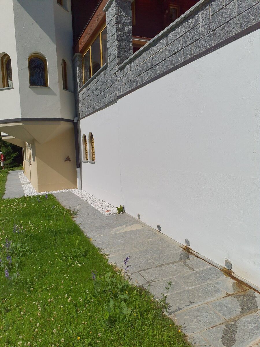 ameisen_vertreiben_bekaempfen_entfernen