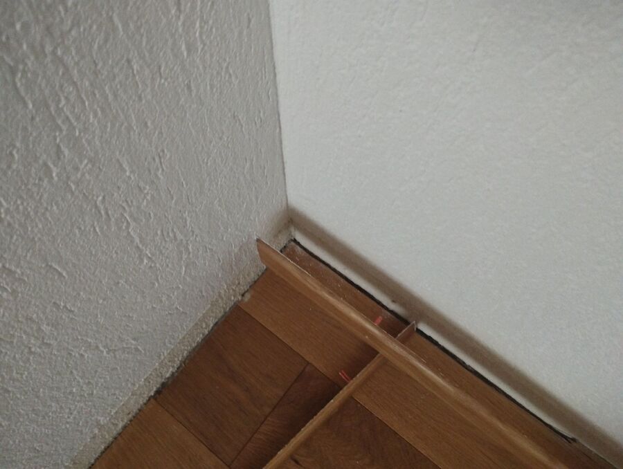 ameisen_vertreiben_bekaempfen_entfernen