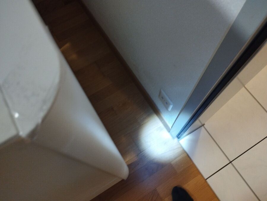 ameisen_vertreiben_bekaempfen_entfernen