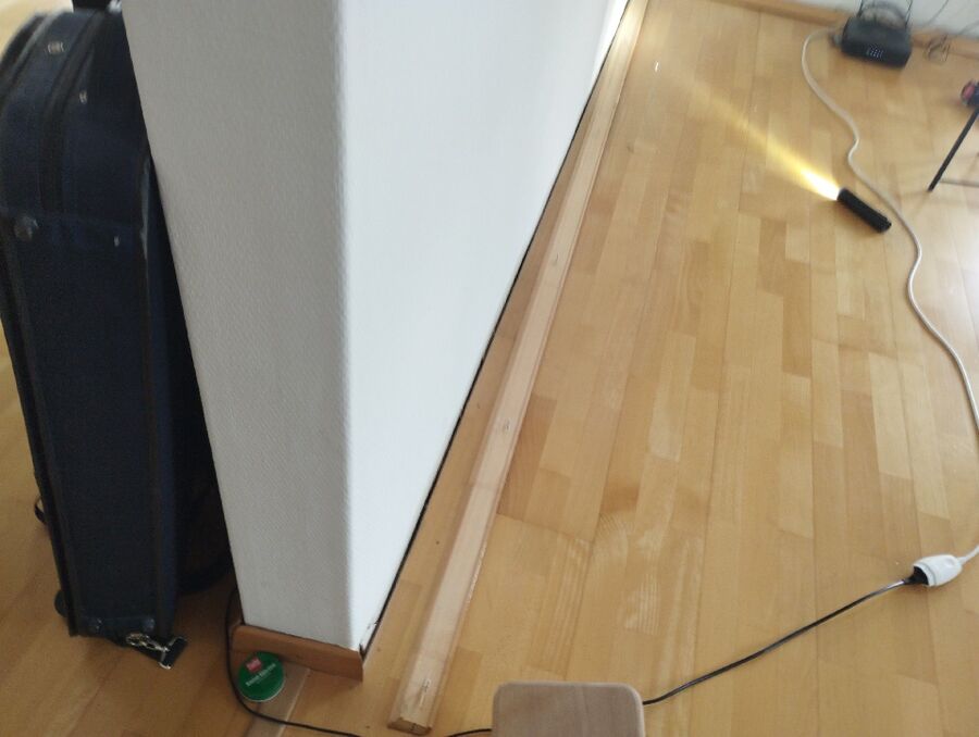 ameisen_vertreiben_bekaempfen_entfernen