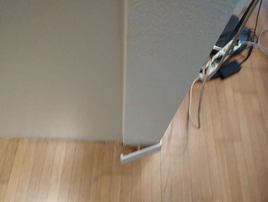 ameisen_vertreiben_bekaempfen_entfernen