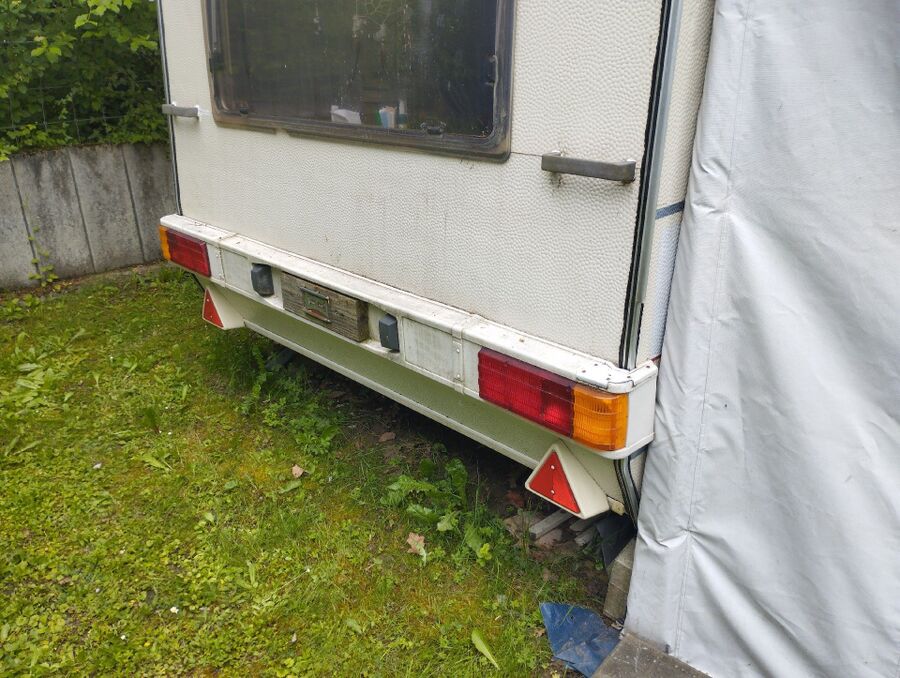 ameisen_vertreiben_bekaempfen_entfernen