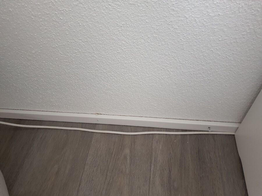 ameisen_vertreiben_bekaempfen_entfernen