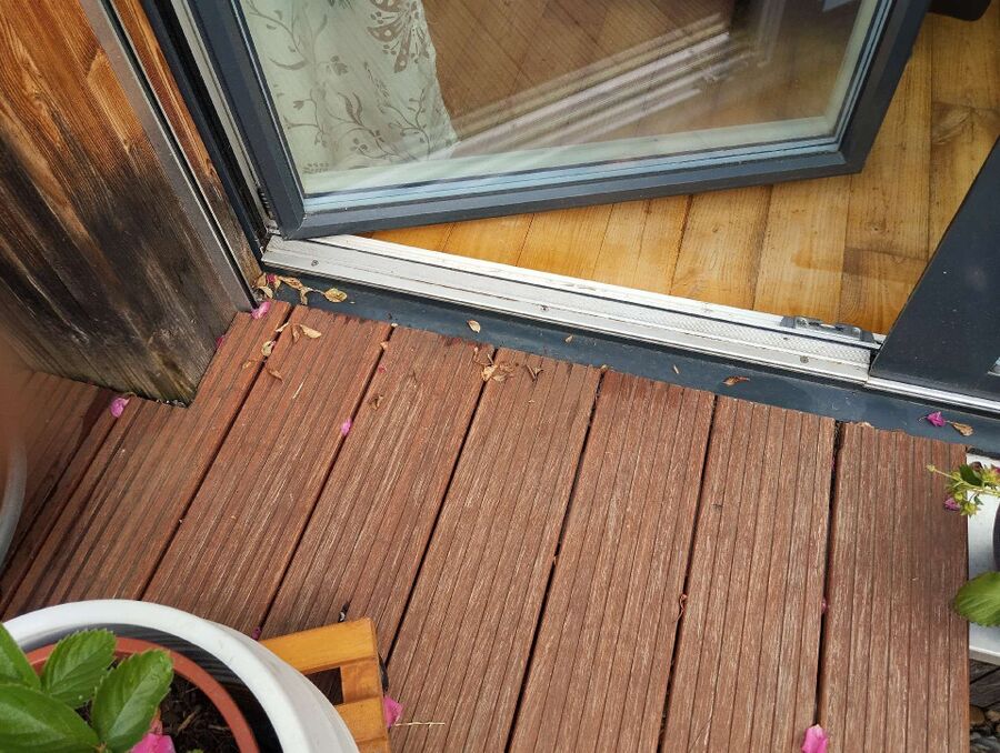 ameisen_vertreiben_bekaempfen_entfernen