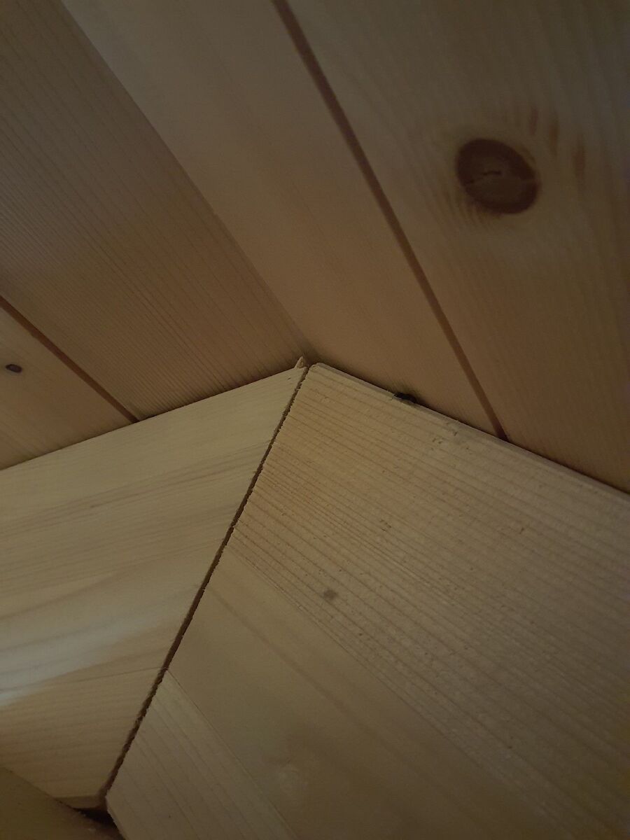 ameisen_vertreiben_bekaempfen_entfernen